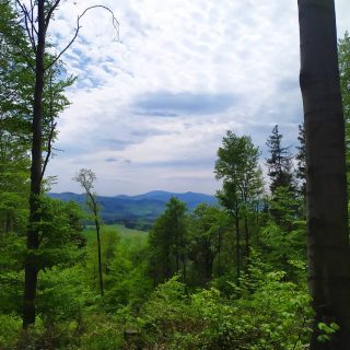 Tak było rok temu... 9-10.05.2020 "KGP w koronaferie" Pierwszy weekend i pierwsze kilka szczytów. Tym razem będzie nowy challenge 😉
#hike #gory #góry #mountainlovers #mountain #treking #mountains #kgp #hikelife #coffee #coffeetime #coffeelover #msr #msrgear #śnieżnik #snieznik #kłodzkagóra #klodzkagora #moka #mokalovers